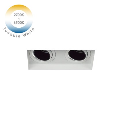 DLD Andes 2 Tunable White 2700K-6500K LED Adjustable Plaster In Downlight