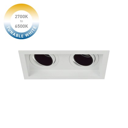 DLD Andes 2 Tunable White 2700K-6500K LED Adjustable Recessed Downlight