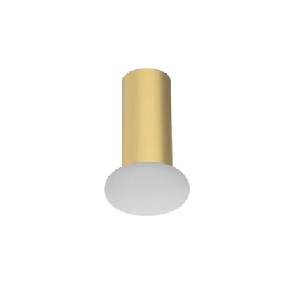 Robin Rina Ceiling Light
