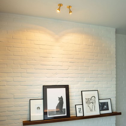 Trizo21 Aust-In Austere Adjustable LED Recessed Ceiling Light alternative image