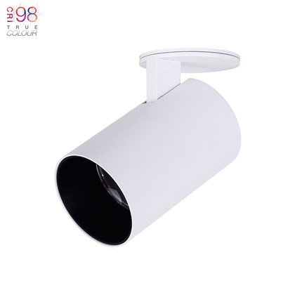 DLD Alps Pogo True Colour CRI98 LED Adjustable Semi Recessed Spot Light (Remote Driver) - Next Day Delivery