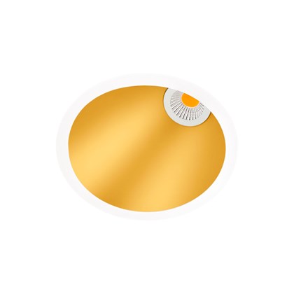 Arkoslight Swap Round Asymmetric LED Recessed Downlight