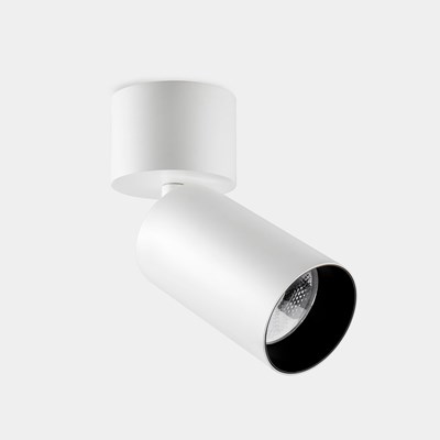 Dub Luce Pointer LED Surface Mounted Spotlight