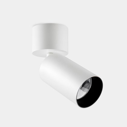 Dub Luce Pointer LED Surface Mounted Spotlight
