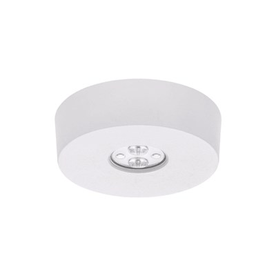 Lena Lighting Dot CS LED Evo Industrial Surface Mounted Emergency Light