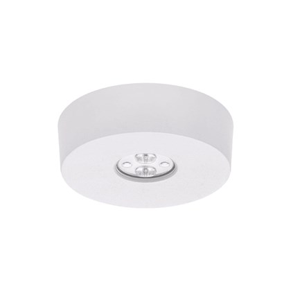 Lena Lighting Dot CS LED Evo Industrial Surface Mounted Emergency Light