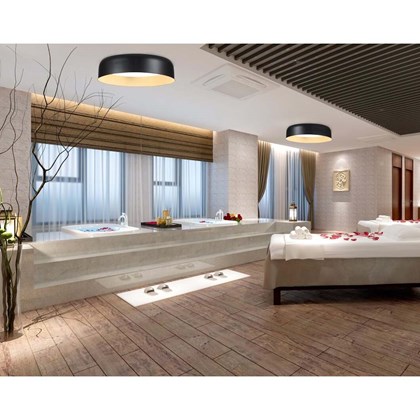 Lena Lighting Piatto 610 LED Industrial Surface Mounted / Suspension Light alternative image