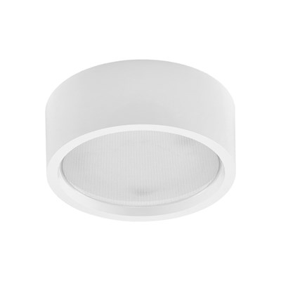 Lena Lighting RQ 220 LED N Plus Industrial Surface Mounted Ceiling Light