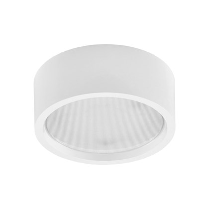 Lena Lighting RQ 220 LED N Plus Industrial Surface Mounted Ceiling Light