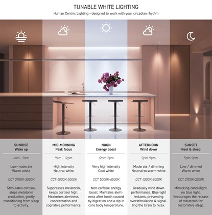 Tunable White Lighting Infographic to support human circadian rhythm throughout the day, from warm 2700K to 6500K and back to 2200K