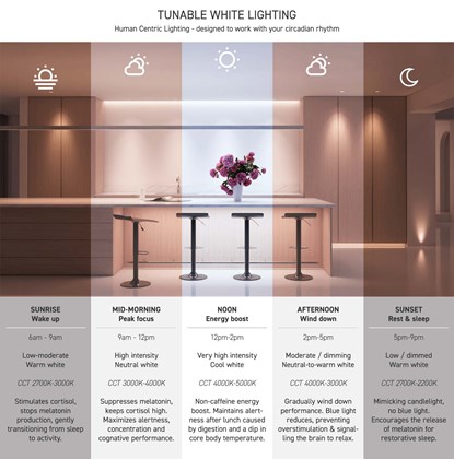 Tunable White Lighting Infographic to support human circadian rhythm throughout the day, from warm 2700K to 6500K and back to 2200K