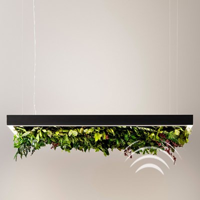 OLEV Meeting Silence Leaf LED Pendant