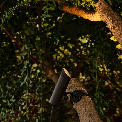 Faro Clap Tree LED Outdoor IP65 LED Tree Mounted Projector Light alternative image