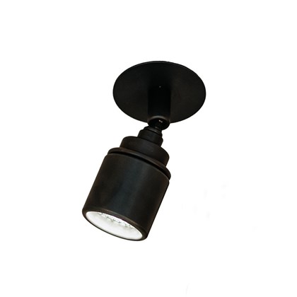 L'ombre Lichelle Proud LED Adjustable Semi-Recessed Spotlight
