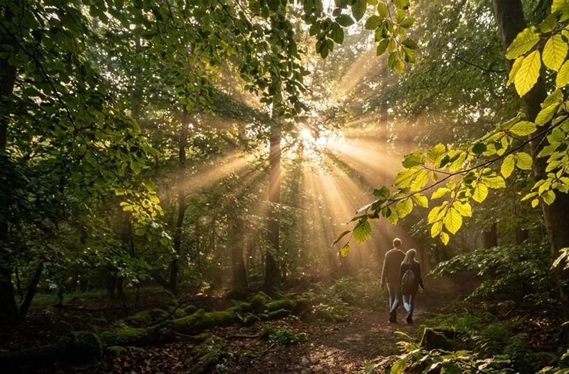 A couple walking through a woods, with the suns rays breaking through the trees