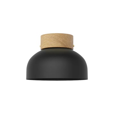 Robin Reiko Ceiling Light