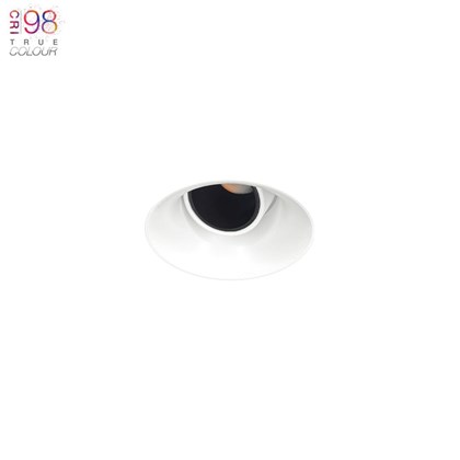 DLD Nebo True Colour CRI98 LED IP65 Adjustable Plaster-In Downlight