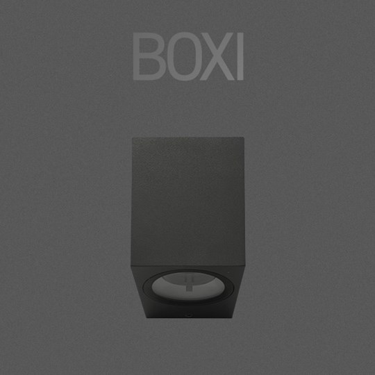 Boxi Outdoor Wall Light