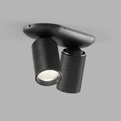 LIGHT-POINT Raw 2 LED Wall Light