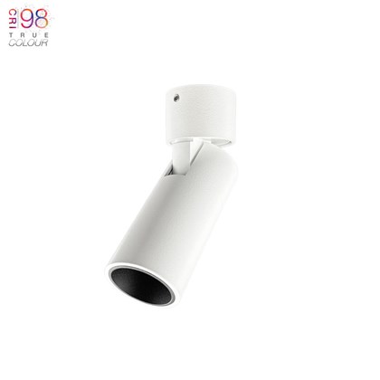DLD Alps Mono Mini True Colour CRI98 LED Adjustable Surface Mounted Spot Light | Remote Driver