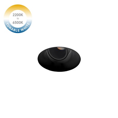 DLD Nebo Tunable White 2200K-6500K Plaster In Adjustable Trimless Downlight in black on white background