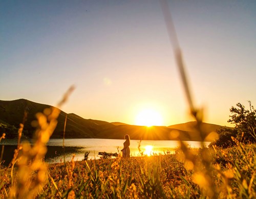 The natural benefits of sunlight for humans