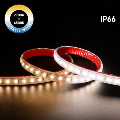 DLD Lightflow 19W Tunable White IP66 LED tape lit 2700K on the left and 6500K on the right on black background