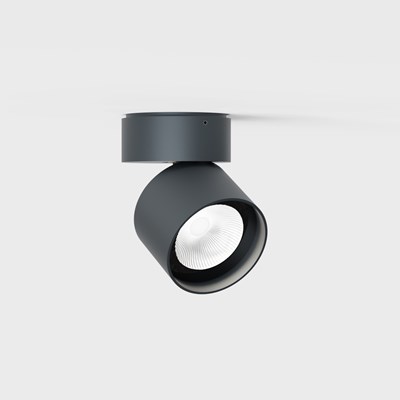 IP44.DE Pro R IP65 Outdoor Ceiling Spotlight