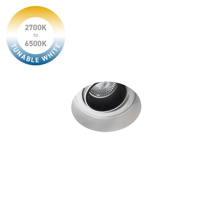 DLD Andes Mini 1-R Tunable White 2700K-6500K LED Adjustable Plaster In Downlight
