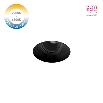 DLD Nebo Tunable White 2200K-6500K Plaster In Adjustable Trimless Downlight in black on white background with CRI98 icon