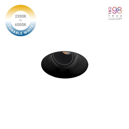 DLD Nebo Tunable White 2200K-6500K Plaster In Adjustable Trimless Downlight in black on white background with CRI98 icon