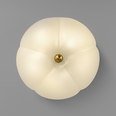 Schwung Hana Large Wall & Ceiling Light