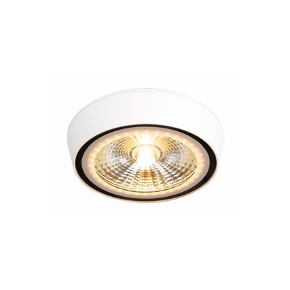 Maxlight Charon LED Adjustable IP65 Spot Light