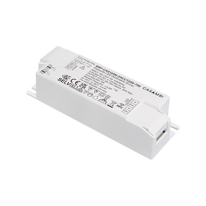 Sunricher 25W 2 Channel Tunable White Casambi Dimmable Constant Current LED Driver
