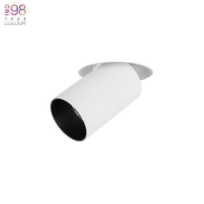 DLD Alps Tele True Colour CRI98 LED Adjustable Pull Out Plaster In Spot Light
