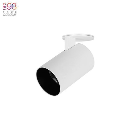 DLD Alps Pogo True Colour CRI98 LED Adjustable Semi Recessed Spot Light (Remote Driver) - Next Day Delivery