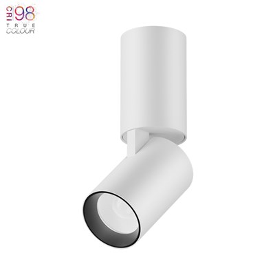DLD Alps Mono True Colour CRI98 LED Adjustable Surface Mounted Spot Light | Integrated Driver