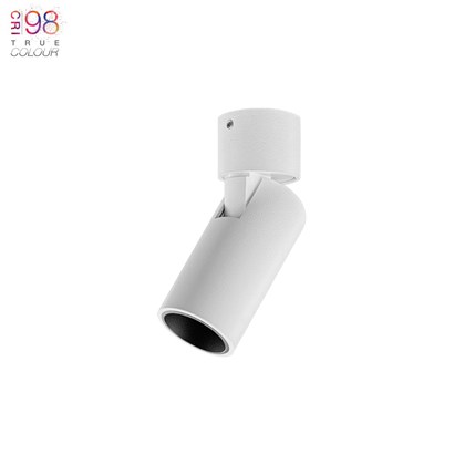 DLD Alps Mono Mini True Colour CRI98 LED Adjustable Surface Mounted Spot Light | Remote Driver