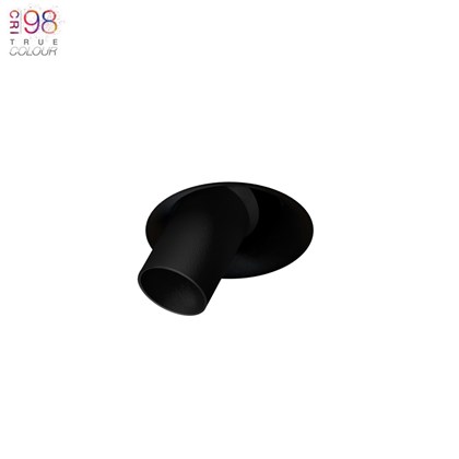 DLD Nebo Snoot True Colour CRI98 LED IP65 Adjustable Plaster-In Downlight