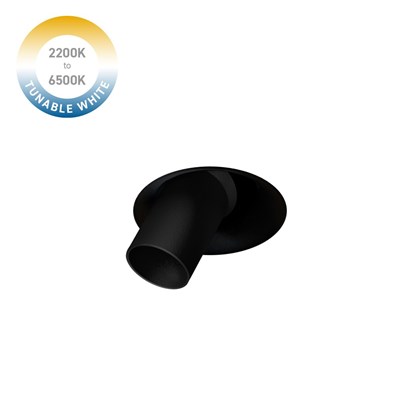 DLD Nebo Snoot Tunable White 2200K-6500K LED IP65 Adjustable Plaster-In Downlight