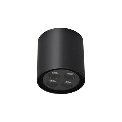 DLD Pico 4 Outdoor IP65 Round Surface Mounted LED Ceiling Light