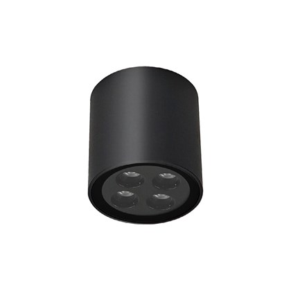 DLD Pico 4 Outdoor IP65 Round Surface Mounted LED Ceiling Light