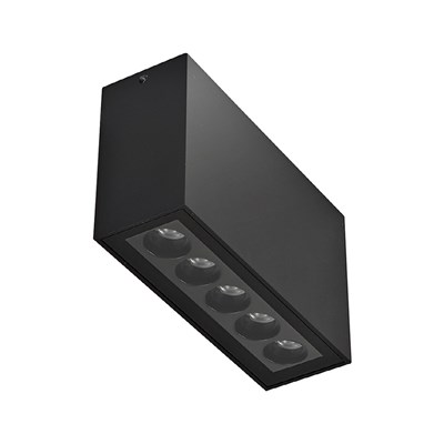 DLD Pico 5 Outdoor IP65 Surface Mounted LED Ceiling Light